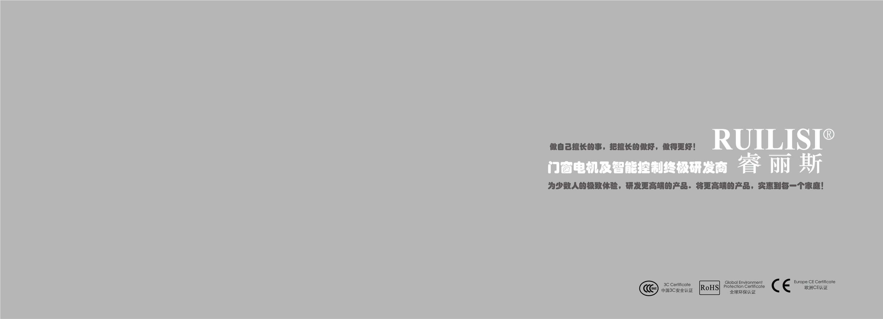 广州睿丽斯电子科技有限公司