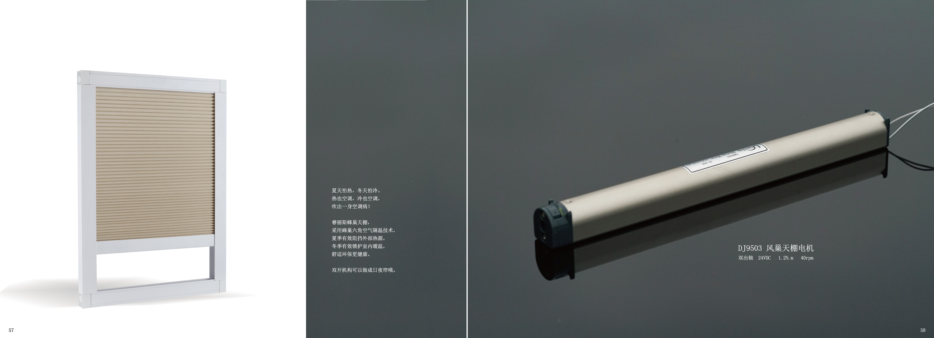 广州睿丽斯电子科技有限公司